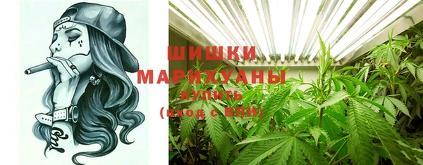 Альфа ПВП Осинники