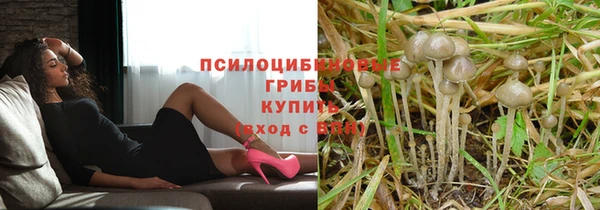 мдма Пересвет