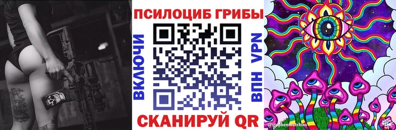 наркота  Богородицк  Псилоцибиновые грибы мухоморы 