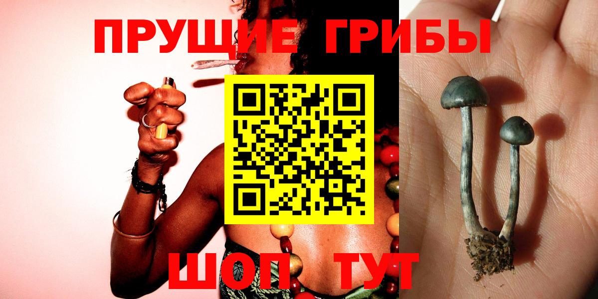 Псилоцибиновые грибы Magic Shrooms Богородицк