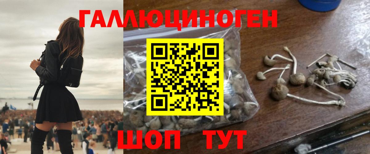 Псилоцибиновые грибы Psilocybe  продажа наркотиков  Псилоцибиновые грибы Magic Shrooms  Богородицк  Вход с VPN 