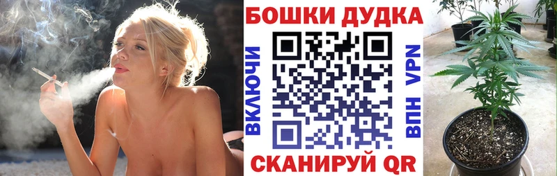 купить   Богородицк  Шишки марихуана SATIVA & INDICA 